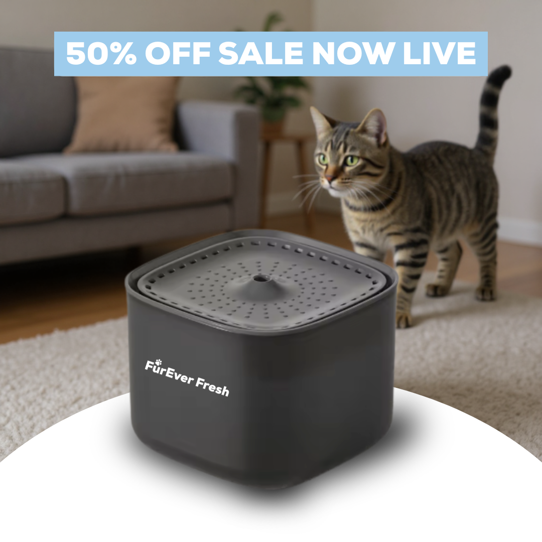 FurEver Fresh - Pet Water Fountain
