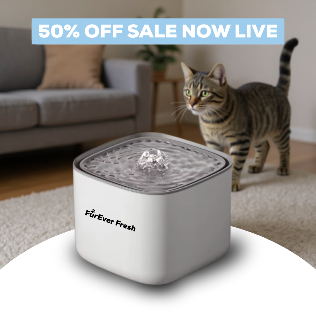 FurEver Fresh - Pet Water Fountain
