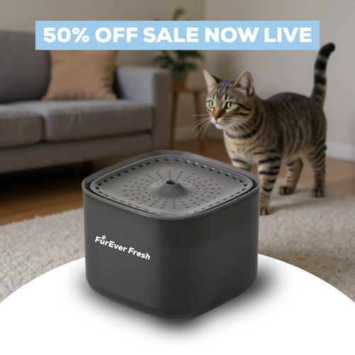 FurEver Fresh - Pet Water Fountain
