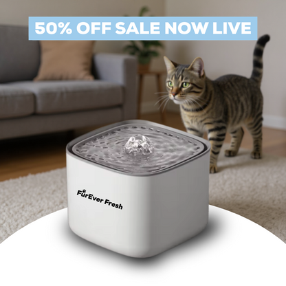 FurEver Fresh - Pet Water Fountain